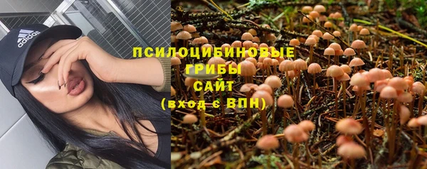 ALPHA-PVP Ельня
