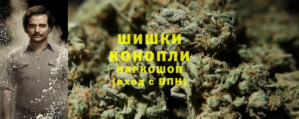 эйфоретик Елизово