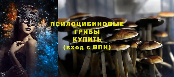 ALPHA-PVP Ельня