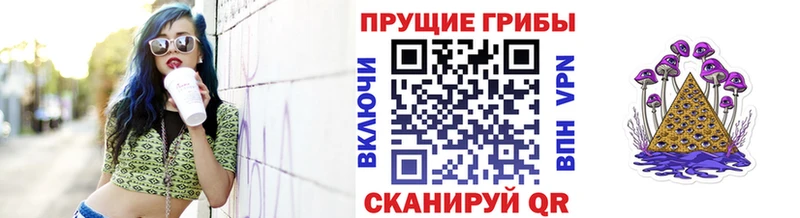 Купить закладки  Шатура  Псилоцибиновые грибы Magic Shrooms 