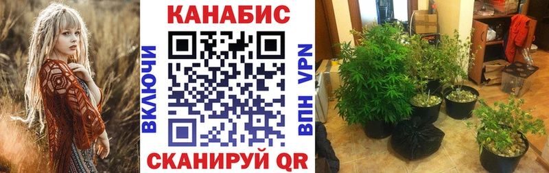 Канабис Bruce Banner Шатура